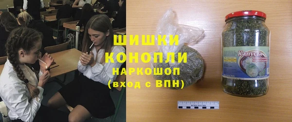 крисы Алзамай