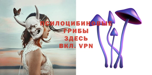 крисы Алзамай