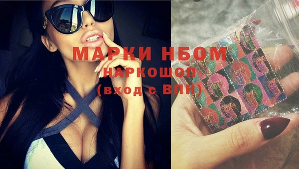 крисы Алзамай