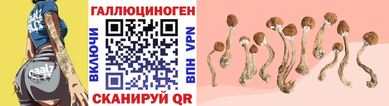 kraken зеркало  закладка  Лабинск  Галлюциногенные грибы мухоморы 