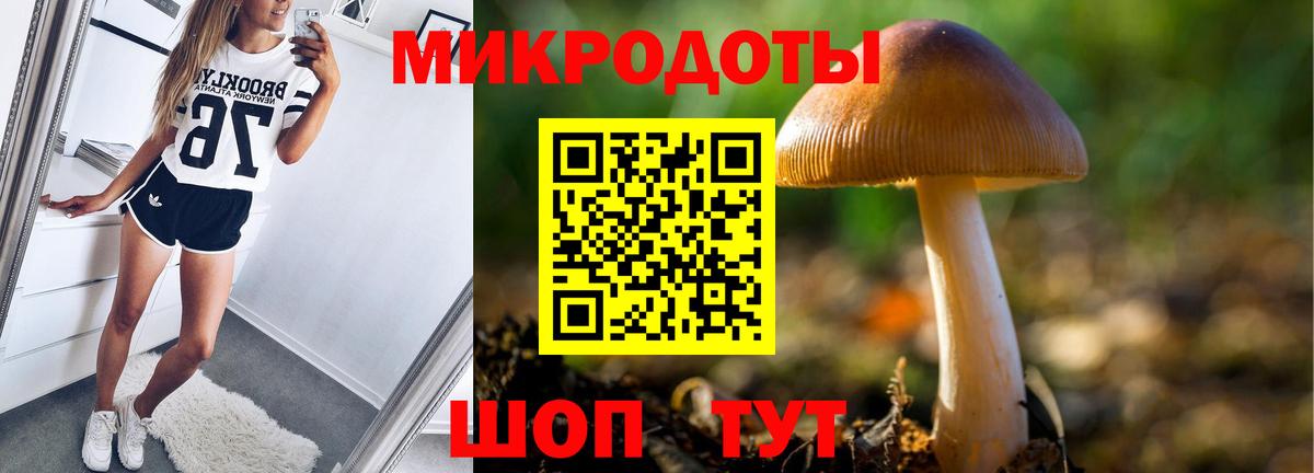 Лабинск  Псилоцибиновые грибы GOLDEN TEACHER  Вход с VPN 